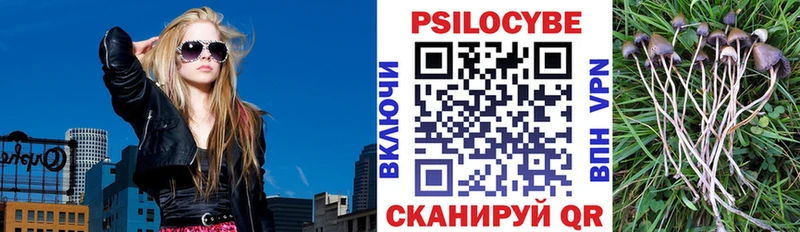 Псилоцибиновые грибы Psilocybine cubensis сколько стоит Воронеж
