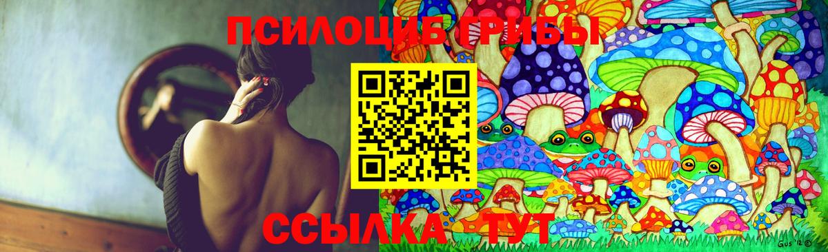 Воронеж  Галлюциногенные грибы Cubensis  Вход с VPN  Галлюциногенные грибы Psilocybine cubensis 