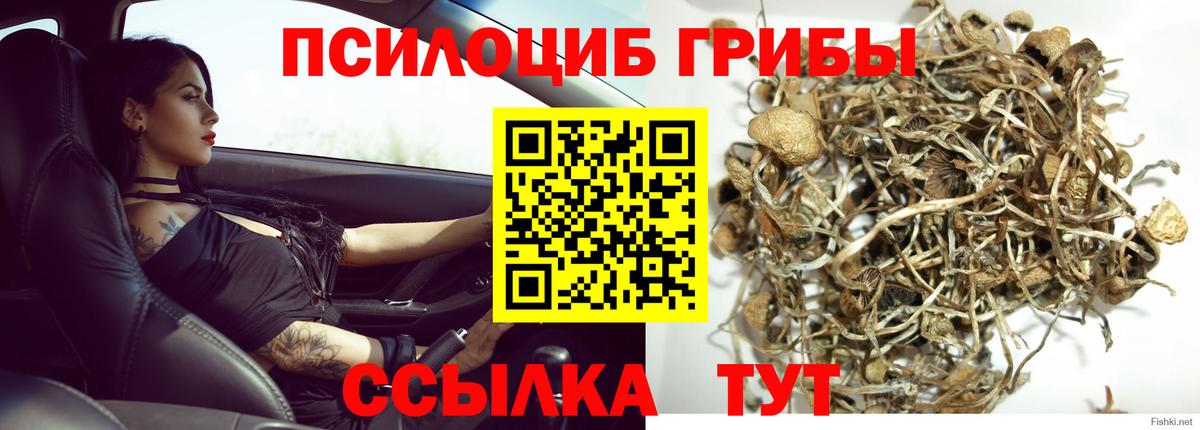 Псилоцибиновые грибы MAGIC MUSHROOMS Воронеж